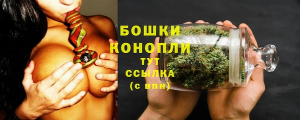 PSILOCYBIN Усмань
