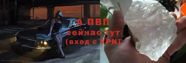 СК Белокуриха