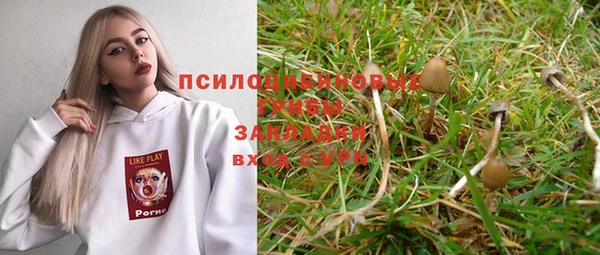 прущие крисы Белоозёрский